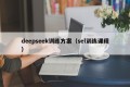 deepseek训练方案（sel训练课程）