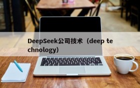 DeepSeek公司技术（deep technology）