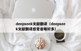 deepseek文献翻译（deepseek文献翻译感觉省略好多）