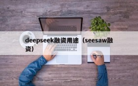 deepseek融资用途(seesaw融资)