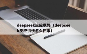 deepseek反应很慢（deepseek反应很慢怎么回事）
