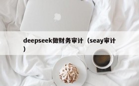deepseek做财务审计(seay审计)