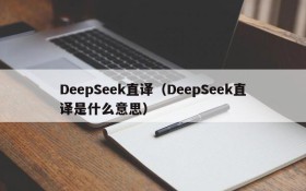 DeepSeek直译（DeepSeek直译是什么意思）