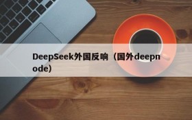 DeepSeek外国反响(国外deepnode)