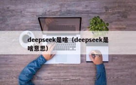 deepseek是啥（deepseek是啥意思）