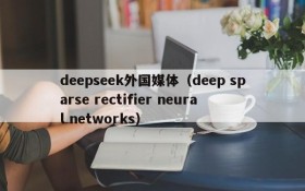 deepseek外国媒体(deep sparse rectifier neural networks)