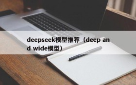 deepseek模型推荐（deep and wide模型）