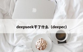 deepseek干了什么(deepec)