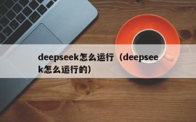 deepseek怎么运行(deepseek怎么运行的)