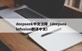deepseek中文注释（deepsealnfusion翻译中文）