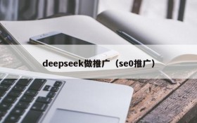 deepseek做推广(se0推广)