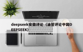 deepseek安徽评论（油管评论中国DEEPSEEK）
