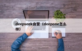 deepseek自营（deepone怎么样）