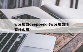 wps加载deepseek(wps加载项有什么用)