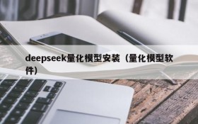 deepseek量化模型安装(量化模型软件)