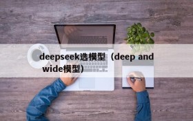 deepseek选模型(deep and wide模型)