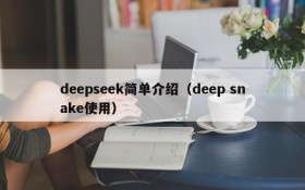 deepseek简单介绍（deep snake使用）
