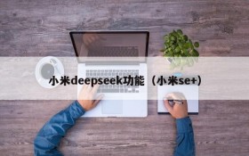 小米deepseek功能(小米se+)