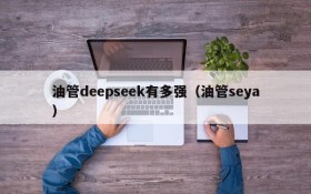 油管deepseek有多强(油管seya)
