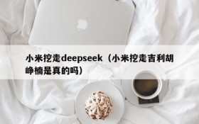 小米挖走deepseek(小米挖走吉利胡峥楠是真的吗)