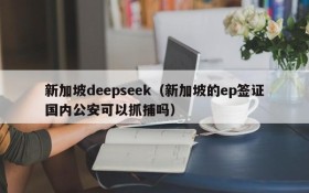 新加坡deepseek（新加坡的ep签证国内公安可以抓捕吗）