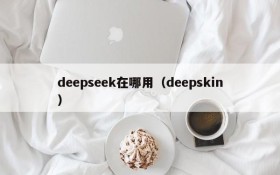 deepseek在哪用（deepskin）