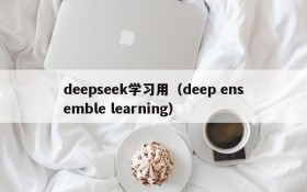 deepseek学习用（deep ensemble learning）