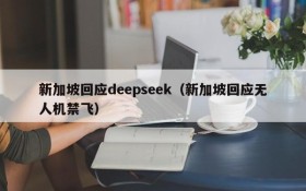 新加坡回应deepseek(新加坡回应无人机禁飞)