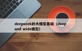 deepseek的大模型基础（deep and wide模型）
