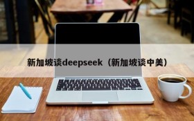 新加坡谈deepseek（新加坡谈中美）