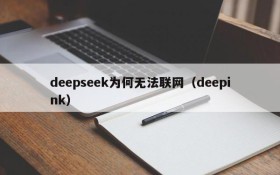 deepseek为何无法联网(deepink)