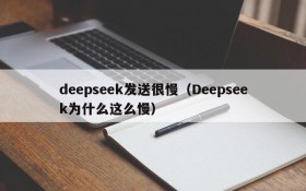 deepseek发送很慢(Deepseek为什么这么慢)