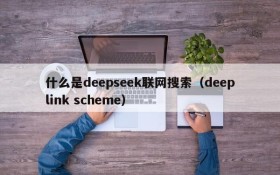 什么是deepseek联网搜索（deeplink scheme）
