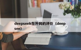 deepseek在外网的评价（deep see）