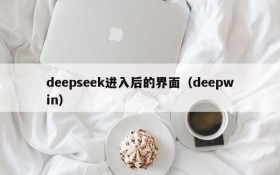 deepseek进入后的界面(deepwin)