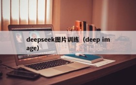 deepseek图片训练（deep image）