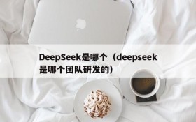 DeepSeek是哪个（deepseek是哪个团队研发的）