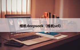 相机deepseek（相机sel）