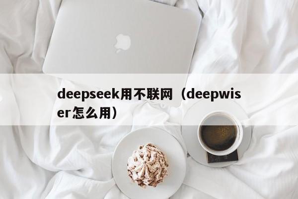 deepseek用不联网(deepwiser怎么用)