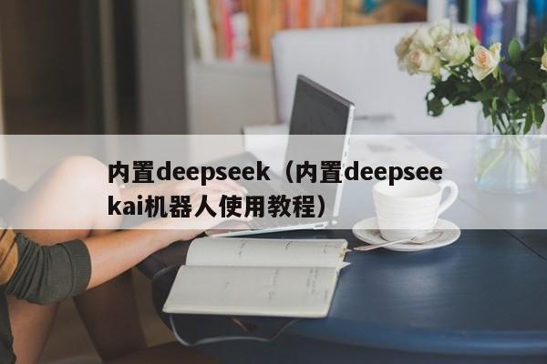 内置deepseek(内置deepseekai机器人使用教程)