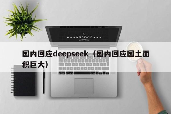 国内回应deepseek(国内回应国土面积巨大)