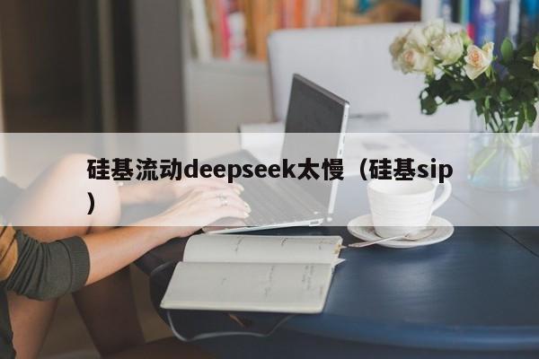 硅基流动deepseek太慢（硅基sip）