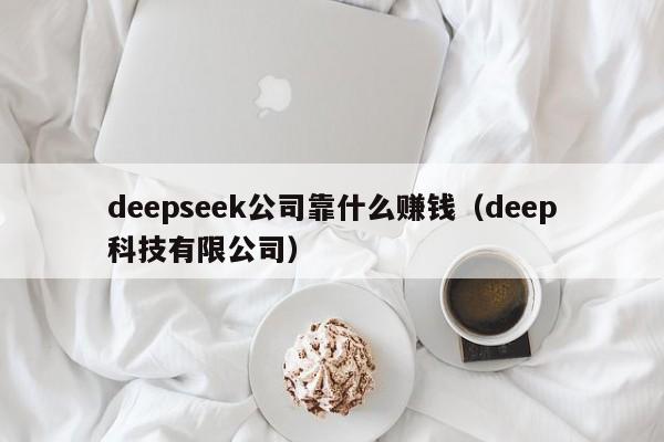 deepseek公司靠什么赚钱（deep科技有限公司）