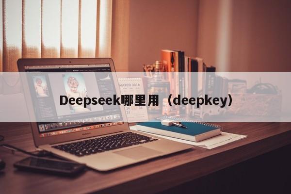 Deepseek哪里用(deepkey)