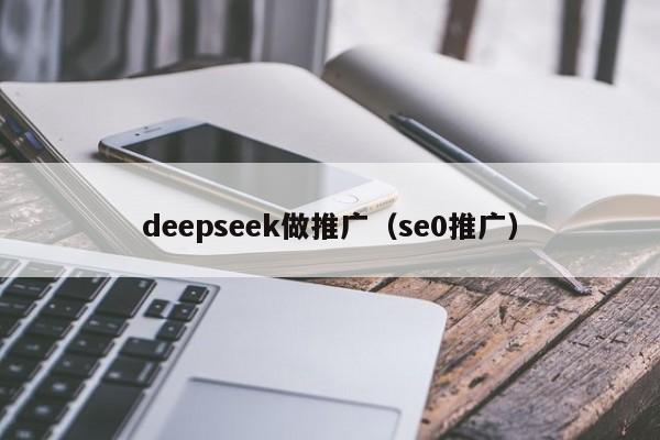 deepseek做推广（se0推广）