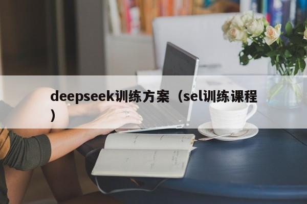 deepseek训练方案（sel训练课程）