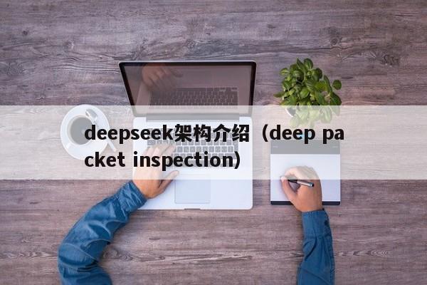 deepseek架构介绍（deep packet inspection）