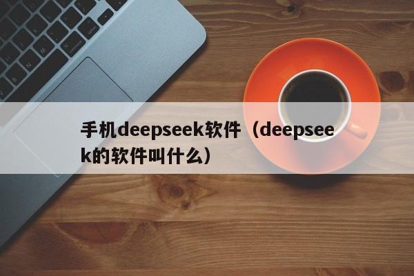 手机deepseek软件(deepseek的软件叫什么)