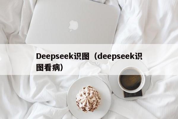 Deepseek识图（deepseek识图看病）