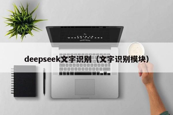 deepseek文字识别（文字识别模块）